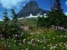 thm_Northern_Area_01.jpg
