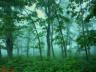 thm_Northern_Area_03.jpg