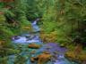 thm_Northern_Area_09.jpg