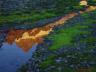 thm_Northern_Area_18.jpg