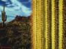 thm_Northern_Area_20.jpg