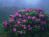 thm_Northern_Area_21.jpg