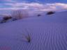 thm_Northern_Area_23.jpg