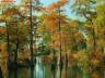 thm_Northern_Area_24.jpg