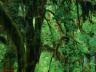 thm_Northern_Area_30.jpg