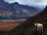thm_Northern_Area_34.jpg