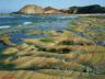 thm_Northern_Area_35.jpg