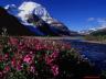thm_Northern_Area_37.jpg