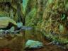 thm_Northern_Area_39.jpg