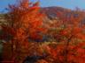thm_Northern_Area_40.jpg