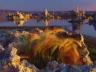 thm_Northern_Area_42.jpg