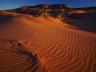 thm_Northern_Area_44.jpg