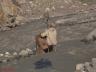 thm_Pakistan_07.jpg
