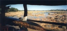 Okavanga Delta, Botswana