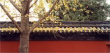 Roof Detail, Bejing Courtyard