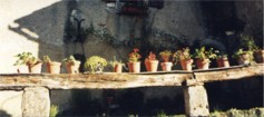 Mediaeval Village of Saint-Cirq-Lapopie, Lot