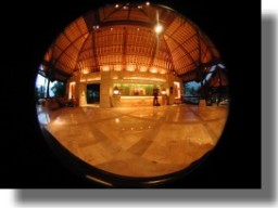 Fisheye view of Main Lobby