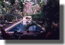 Lap Pool