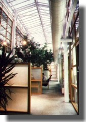 Atrium interior