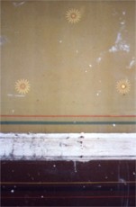 Discovery of original stencilled walls dating back to the 1800's