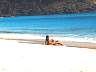 bartsbch.jpg