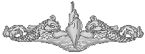 Year 2000 is the 100th Anniversary of the US Navy Submarine Service; Mike served aboard the USS Cusk SS-348