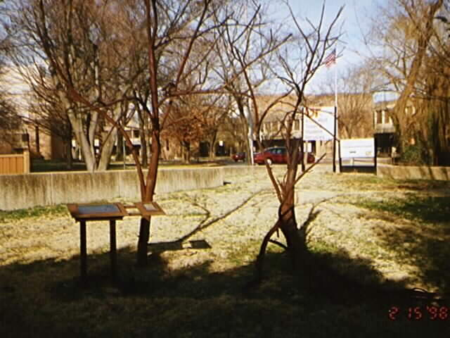 16578_08.jpg (50441 bytes)