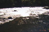The River Wild