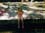Mallori at Blue Bend Park West Virginia July 95
