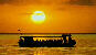 CRUISE 98