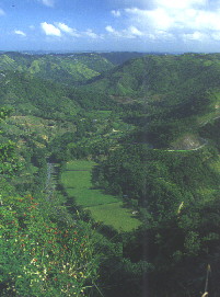 Ciales