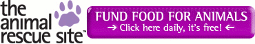 Support Feed the Animals