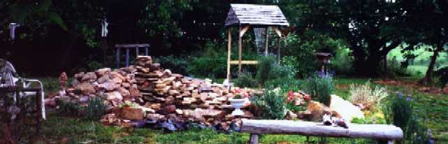 Mom and Dad's Front Yard - It's changed since I last saw it (Photo Copyright 1999 by Carolyn Smith)