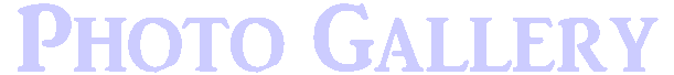 photogal.gif (44191 bytes)