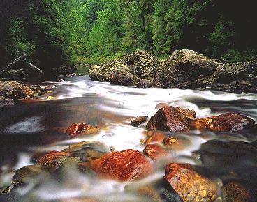 River Pic.