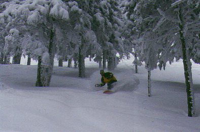 Boarder in the thick of it.