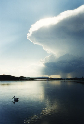 Wallis Lake Photo.