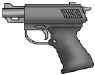 Budgett_Arms_C-15.jpg (14447 bytes)