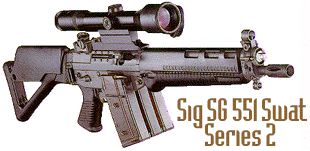 Sig SG 551 Series 2