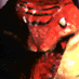 RIPTOR