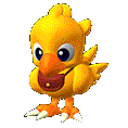 My Chocobo Aegis