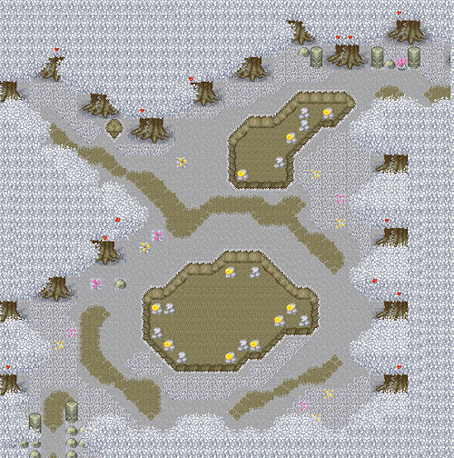 Winter section
