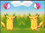 gifpikapi2.gif (58992 bytes)