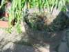 Photo Number 7