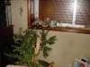 Photo Number 8