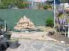 Photo Number 8