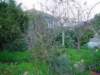 Photo Number 6