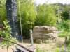 Photo Number 4