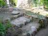 Photo Number 5