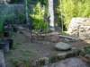 Photo Number 8